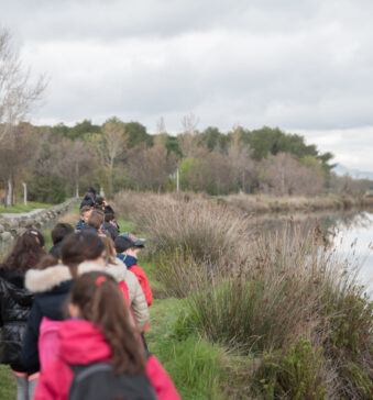 Association Terre de Vie et Nature 83 