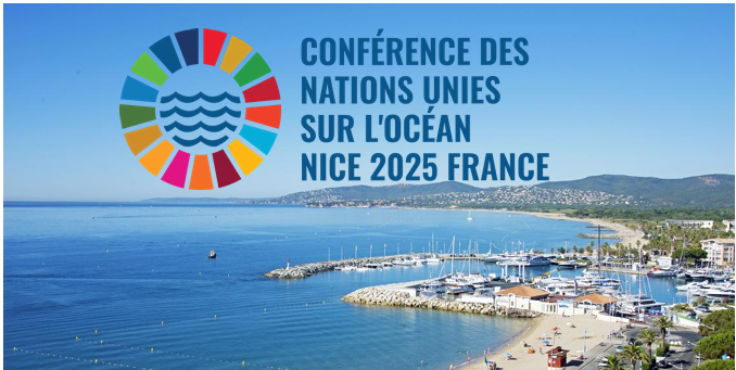 You are currently viewing Le monde s’invite à l’océan sur la Côte d’Azur en France