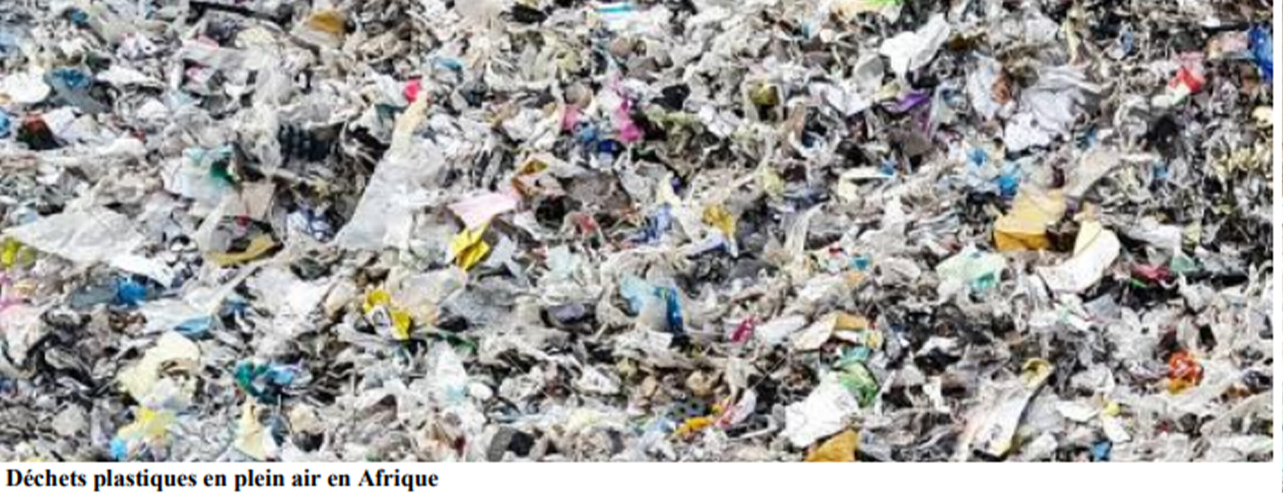 You are currently viewing Le Sommet de Genève sur la pollution plastique