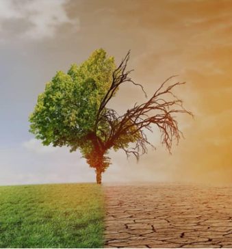 Le changement climatique en Côte d’Ivoire