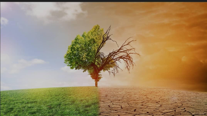 You are currently viewing Le changement climatique en Côte d’Ivoire