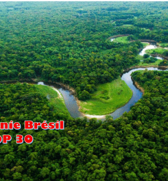 La forêt Amazonienne accueille la COP 30