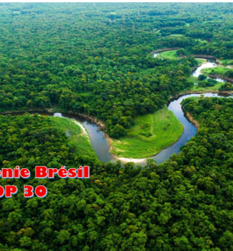 La forêt Amazonienne accueille la COP 30